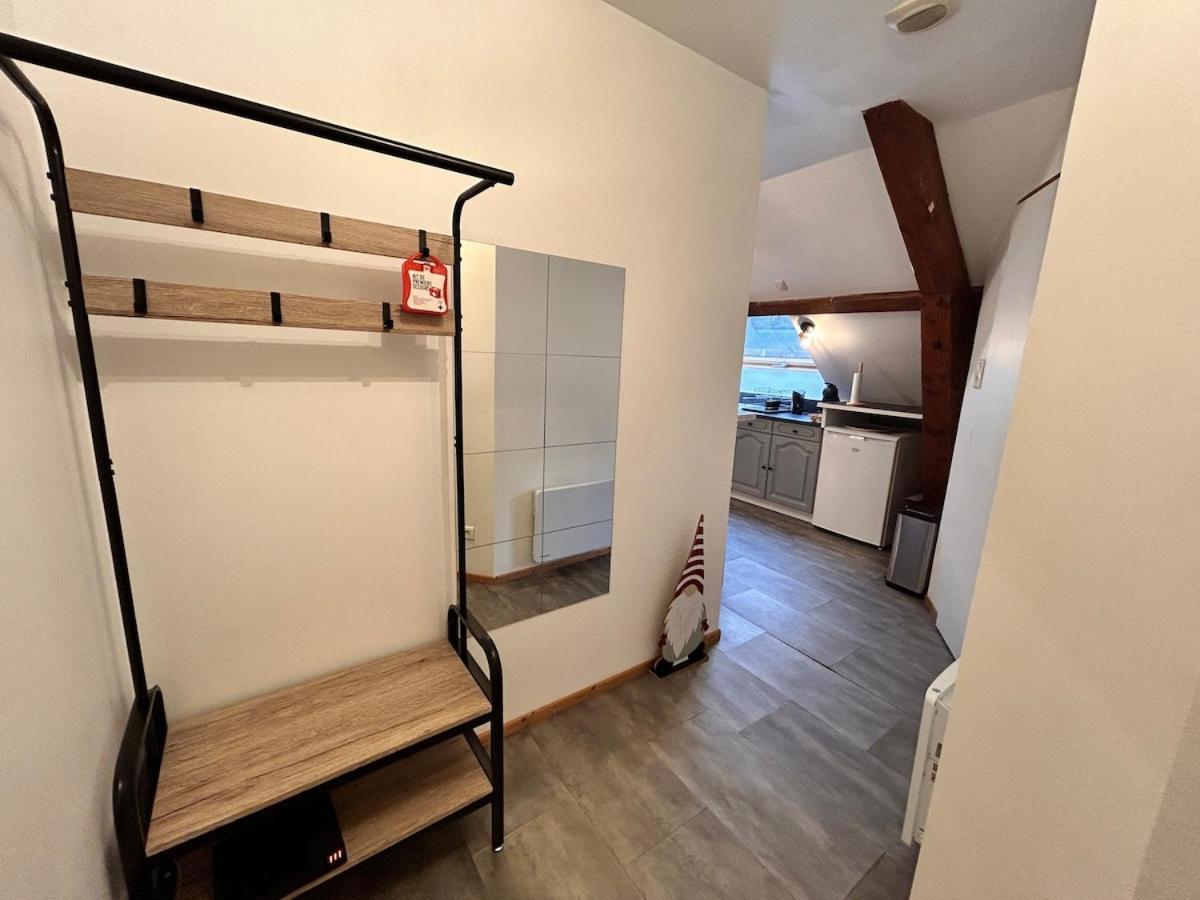 Superbe Studio A Proximite Du Centre-Ville Saint-Die-des-Vosges Exterior foto